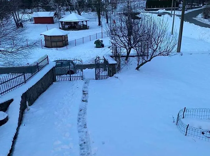 Sanmari_forest * Ledenice